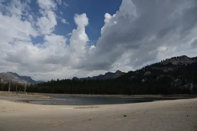 DSC_2956 (Large).JPG